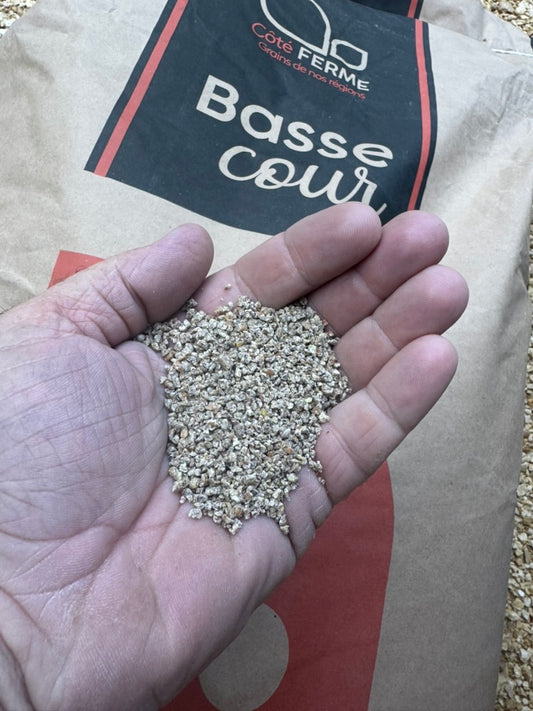 Aliments démarrage poussin