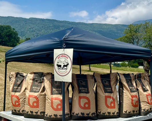 GRAINS PONDEUSE 25KG