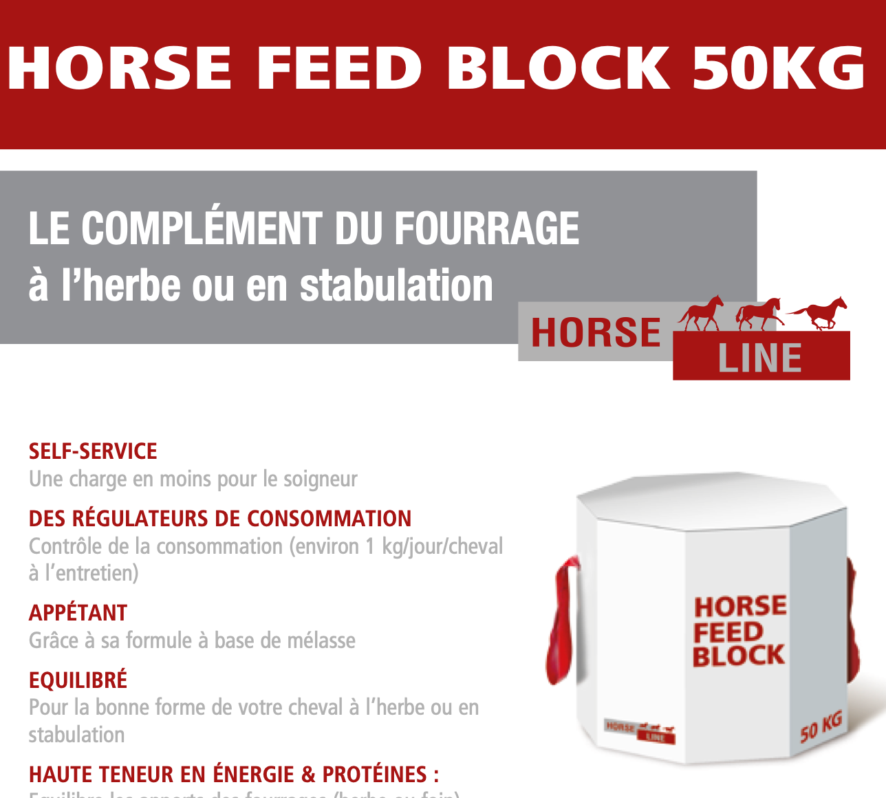 HORSE FEED BLOCK 50 KG