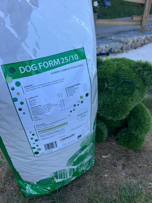 DOG FORME 25/10 VERT