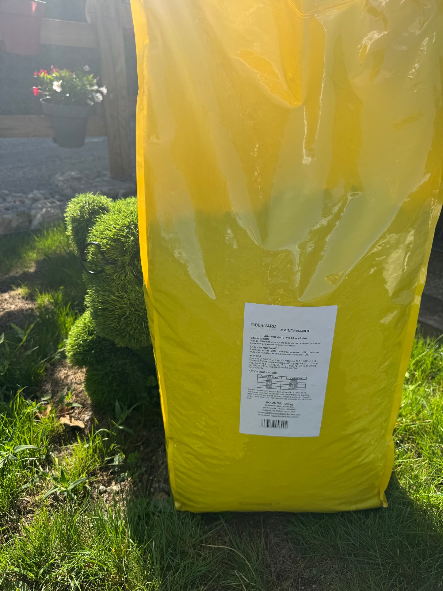 DOG MAINTENANCE 26/10. 20KG