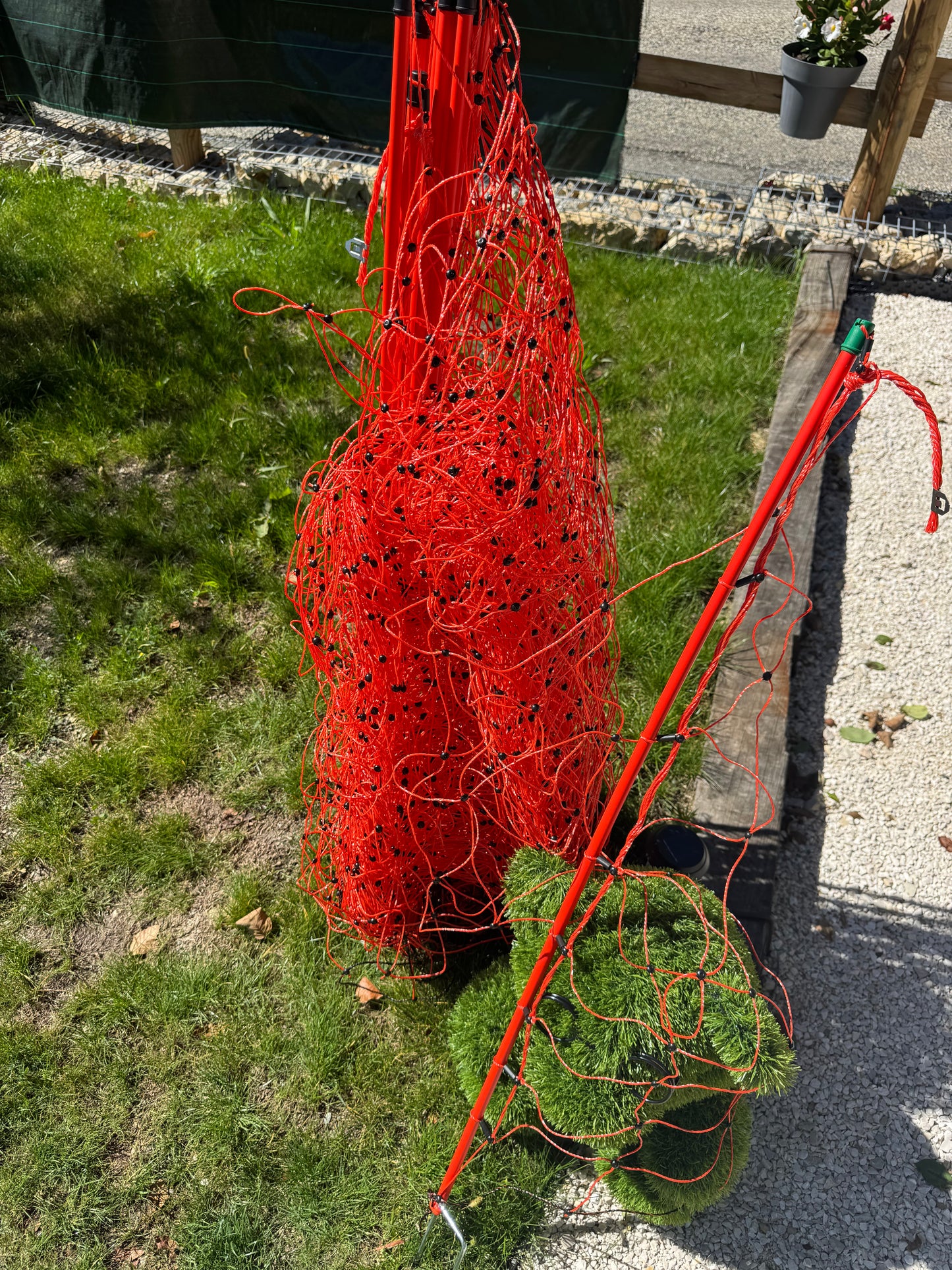 FILET MOUTON ,chèvre ,volaille, chien .