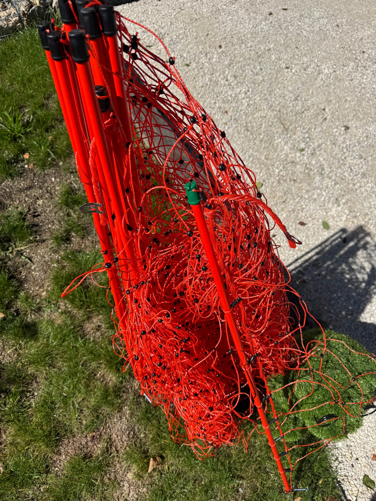 FILET MOUTON ,chèvre ,volaille, chien .