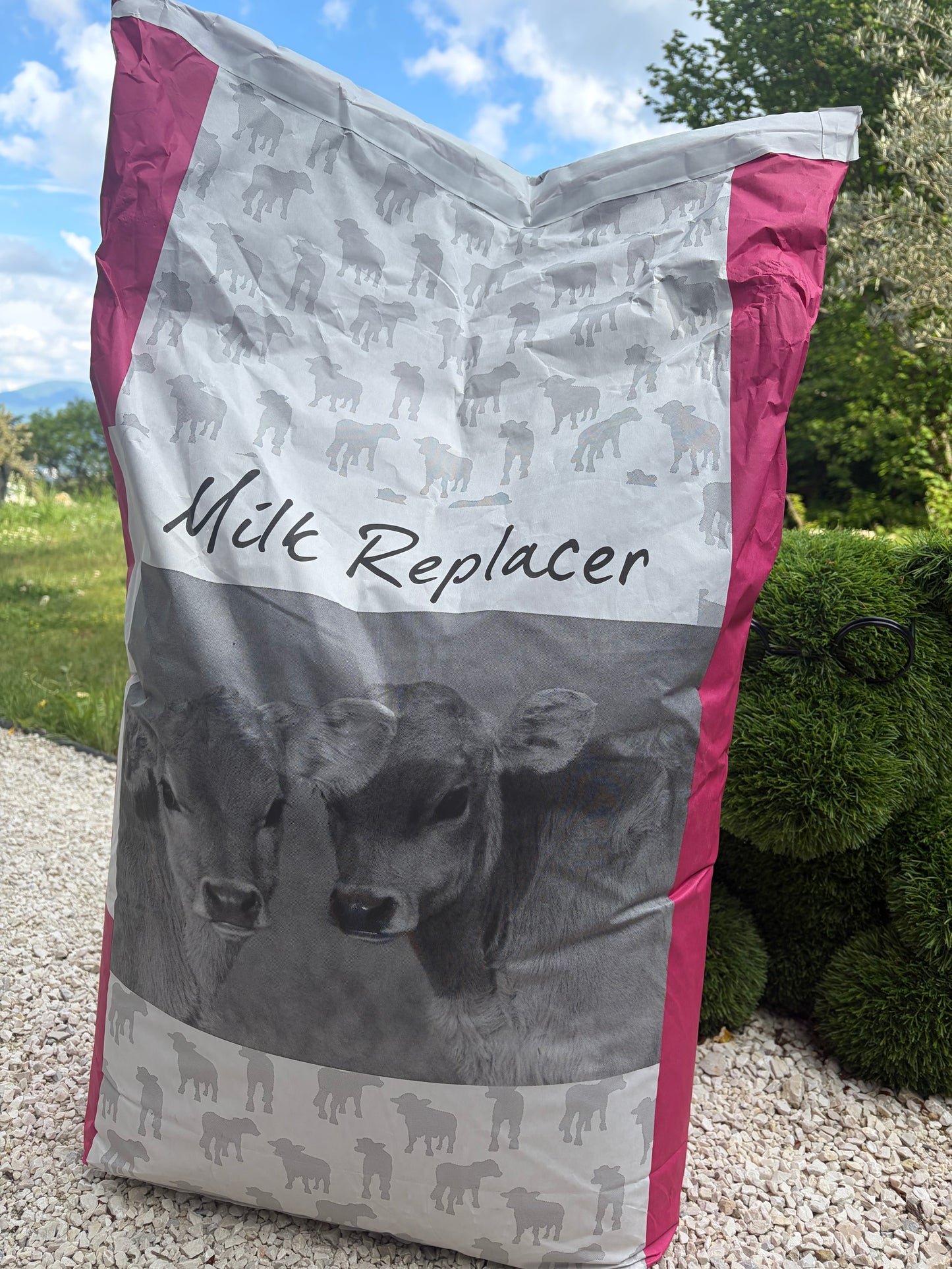 Lait écrémé en poudre 50%