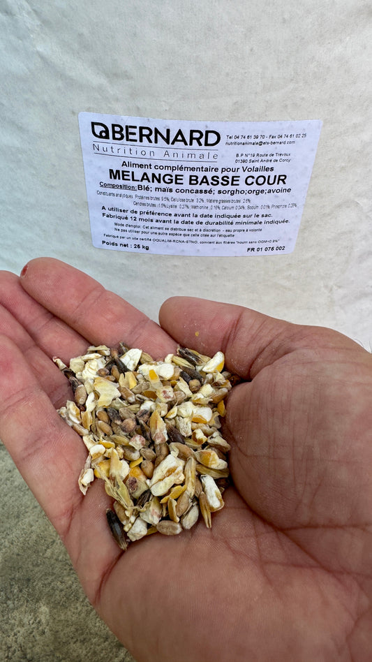 Mélanges poule pondeuses